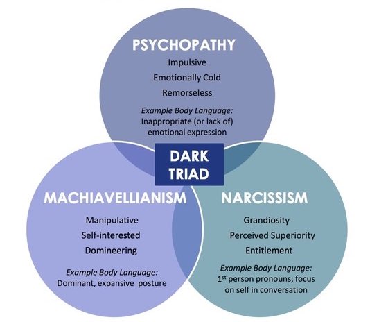 The Dark Triad Traits